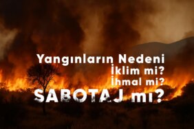 ChatGPT-Image-29-Tem-2025-00_47_24