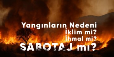 ChatGPT-Image-29-Tem-2025-00_47_24