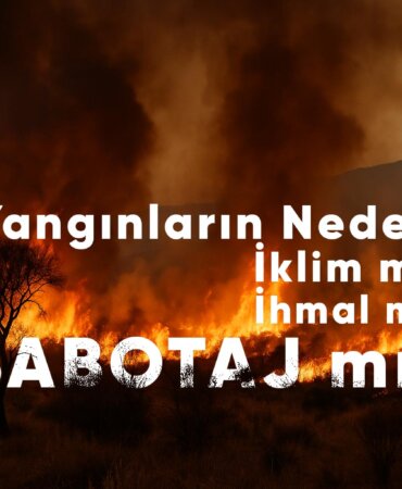 ChatGPT-Image-29-Tem-2025-00_47_24