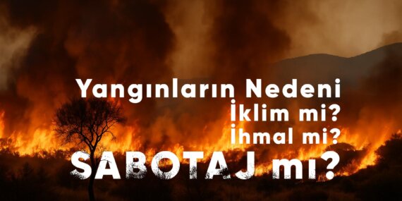 Türkiye 2025 Yazını Alevlerle Geçiriyor: Yangınlar Durmuyor, Öfke Büyüyor