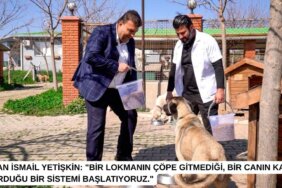 Seferihisarda-Atik-Yemekler-Sokak-Hayvanlari-Icin-Mamaya-Donusuyor-featured