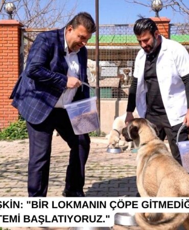 Seferihisarda-Atik-Yemekler-Sokak-Hayvanlari-Icin-Mamaya-Donusuyor-featured