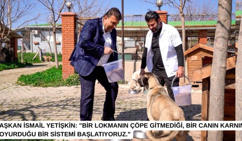 Seferihisarda-Atik-Yemekler-Sokak-Hayvanlari-Icin-Mamaya-Donusuyor-featured